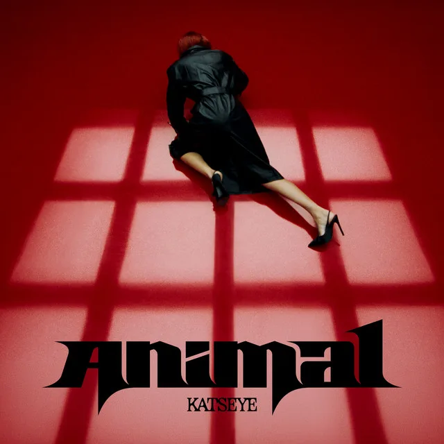 katseye animal